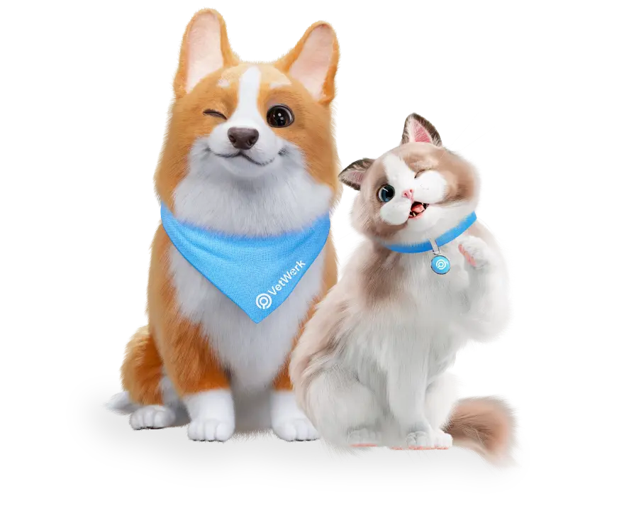 Cute Mascot dog and cat